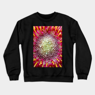 Burst Crewneck Sweatshirt